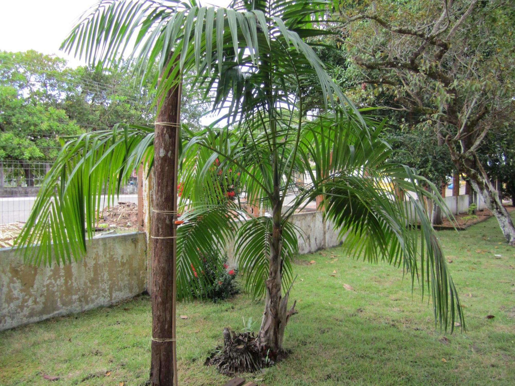 Do Tapajos Hostel Alter do Chao